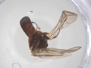  ( - BIOUG07573-F01)  @11 [ ] CreativeCommons - Attribution Share - Alike (2025) Centre for Biodiversity Genomics Centre for Biodiversity Genomics