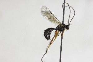  ( - CollHH2144)  @11 [ ] Creative Commons  Attribution Non-Commercial Share-Alike (2018) Hakon Haraldseide Unspecified