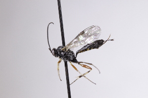  ( - CollHH4186)  @11 [ ] Creative Commons  Attribution Non-Commercial Share-Alike (2025) Hakon Haraldseide Unspecified