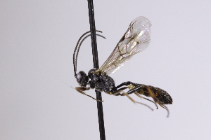  ( - CollHH4203)  @11 [ ] Creative Commons  Attribution Non-Commercial Share-Alike (2025) Hakon Haraldseide Unspecified