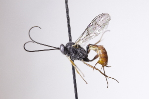  ( - CollHH4207)  @11 [ ] Creative Commons  Attribution Non-Commercial Share-Alike (2025) Hakon Haraldseide Unspecified