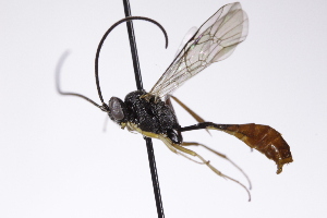  ( - CollHH4214)  @11 [ ] Creative Commons  Attribution Non-Commercial Share-Alike (2025) Hakon Haraldseide Unspecified