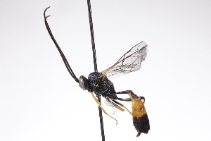  ( - CollHH4215)  @11 [ ] Creative Commons  Attribution Non-Commercial Share-Alike (2025) Hakon Haraldseide Unspecified