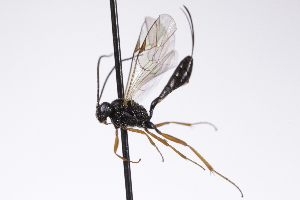  ( - CollHH4229)  @11 [ ] Creative Commons  Attribution Non-Commercial Share-Alike (2025) Hakon Haraldseide Unspecified