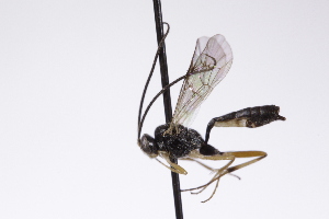  ( - CollHH4238)  @11 [ ] Creative Commons  Attribution Non-Commercial Share-Alike (2025) Hakon Haraldseide Unspecified