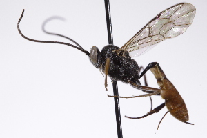  ( - CollHH4241)  @11 [ ] Creative Commons  Attribution Non-Commercial Share-Alike (2025) Hakon Haraldseide Unspecified