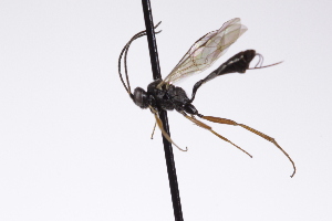  ( - CollHH4253)  @11 [ ] Creative Commons  Attribution Non-Commercial Share-Alike (2025) Hakon Haraldseide Unspecified