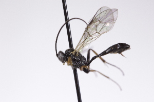  ( - CollHH4264)  @11 [ ] Creative Commons  Attribution Non-Commercial Share-Alike (2025) Hakon Haraldseide Unspecified