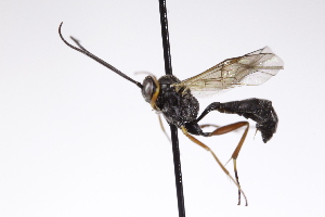  ( - CollHH4265)  @11 [ ] Creative Commons  Attribution Non-Commercial Share-Alike (2025) Hakon Haraldseide Unspecified