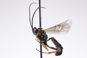  ( - CollHH4266)  @11 [ ] Creative Commons  Attribution Non-Commercial Share-Alike (2025) Hakon Haraldseide Unspecified