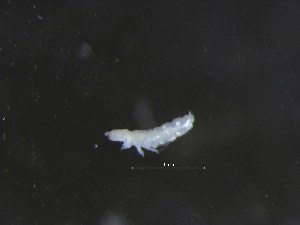  ( - 28448A11_MAC003.1)  @11 [ ] Unspecified (default): All Rights Reserved (2016) Unspecified Monash University, Clayton