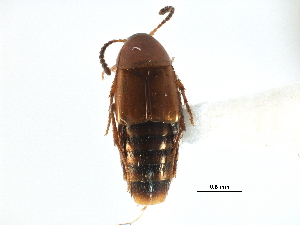  ( - CCDB-22987-E10)  @11 [ ] CreativeCommons - Attribution (2015) CBG Photography Group Centre for Biodiversity Genomics