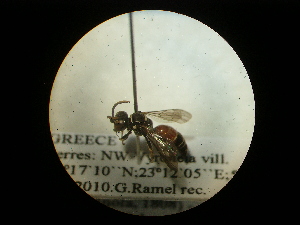  ( - CCDB-09752-A02)  @12 [ ] Copyright  G. Blagoev 2010 Unspecified