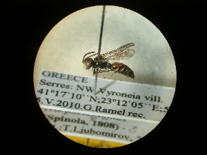  ( - CCDB-09752-A08)  @12 [ ] Copyright  G. Blagoev 2010 Unspecified