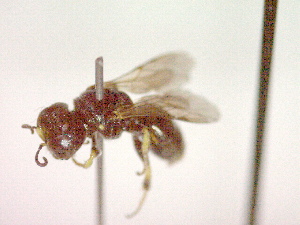  ( - CCDB-12231-C07)  @12 [ ] Copyright  G. Blagoev 2010 Unspecified