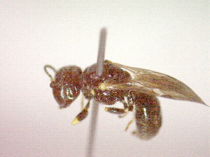  ( - CCDB-12231-D10)  @12 [ ] Copyright  G. Blagoev 2010 Unspecified