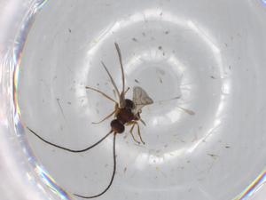  ( - BIOUG72018-C09)  @12 [ ] CreativeCommons - Attribution (2021) Centre for Biodiversity Genomics Centre for Biodiversity Genomics