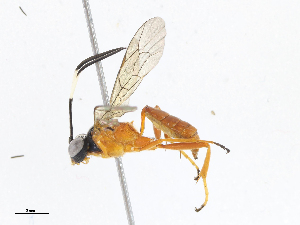  ( - CBG-A06259-B03)  @11 [ ] CreativeCommons - Attribution Share-Alike (2023) CBG Photography Group Centre for Biodiversity Genomics