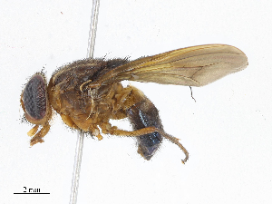 ( - CBG-A08734-C05)  @11 [ ] CreativeCommons - Attribution Share - Alike (2023) CBG Photography Group Centre for Biodiversity Genomics