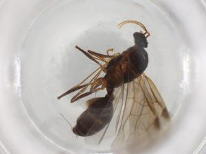  ( - BIOUG87761-C03)  @11 [ ] CreativeCommons - Attribution (2022) Centre for Biodiversity Genomics Centre for Biodiversity Genomics