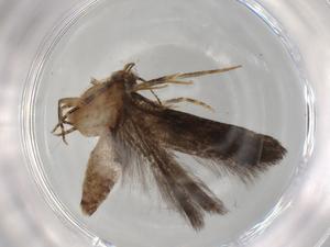  ( - BIOUG92056-H10)  @11 [ ] CreativeCommons - Attribution (2022) Centre for Biodiversity Genomics Centre for Biodiversity Genomics