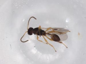  ( - BIOUG96049-G10)  @11 [ ] CreativeCommons - Attribution (2022) Centre for Biodiversity Genomics Centre for Biodiversity Genomics