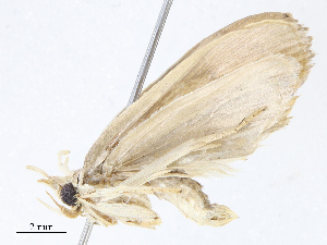  ( - CBG-A10814-E09)  @11 [ ] CreativeCommons - Attribution Share - Alike (2023) CBG Photography Group Centre for Biodiversity Genomics