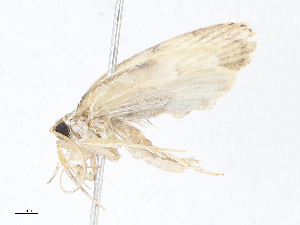  ( - CBG-A10819-B10)  @11 [ ] CreativeCommons - Attribution Share - Alike (2023) CBG Photography Group Centre for Biodiversity Genomics