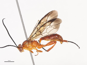  ( - CBG-A41790-D05)  @11 [ ] CreativeCommons - Attribution Share - Alike (2024) CBG Photography Group Centre for Biodiversity Genomics