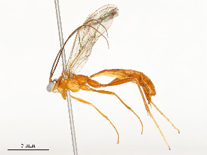  ( - CBG-A54421-C02)  @11 [ ] CreativeCommons - Attribution Share - Alike (2024) CBG Photography Group Centre for Biodiversity Genomics