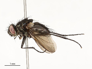  ( - CBG-A54421-H08)  @11 [ ] CreativeCommons - Attribution Share - Alike (2024) CBG Photography Group Centre for Biodiversity Genomics