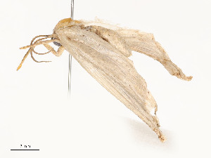  ( - CBG-A54422-F12)  @11 [ ] CreativeCommons - Attribution Share - Alike (2024) CBG Photography Group Centre for Biodiversity Genomics