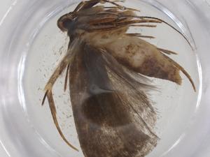  ( - CBG-A54595-F04)  @11 [ ] CreativeCommons - Attribution Share - Alike (2024) Centre for Biodiversity Genomics Centre for Biodiversity Genomics