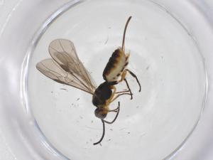  ( - CBG-A54855-E07)  @11 [ ] CreativeCommons - Attribution Share - Alike (2024) Centre for Biodiversity Genomics Centre for Biodiversity Genomics