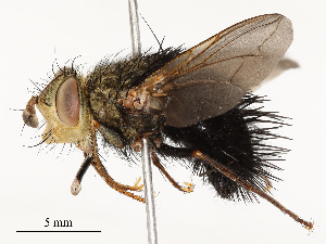  ( - CBG-A58553-G02)  @11 [ ] CreativeCommons - Attribution Share - Alike (2024) CBG Photography Group Centre for Biodiversity Genomics