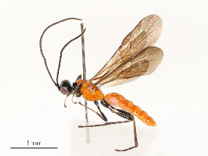  ( - CBG-A58559-E06)  @11 [ ] CreativeCommons - Attribution Share - Alike (2025) CBG Photography Group Centre for Biodiversity Genomics