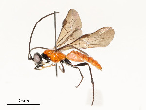  ( - CBG-A58559-E07)  @11 [ ] CreativeCommons - Attribution Share - Alike (2025) CBG Photography Group Centre for Biodiversity Genomics