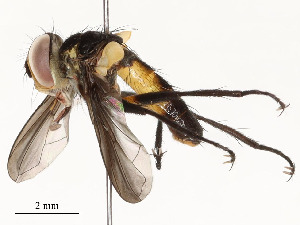  ( - CBG-A58658-H02)  @11 [ ] CreativeCommons - Attribution Share - Alike (2024) CBG Photography Group Centre for Biodiversity Genomics