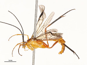  ( - CBG-A58659-F07)  @11 [ ] CreativeCommons - Attribution Share - Alike (2025) CBG Photography Group Centre for Biodiversity Genomics