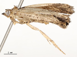  ( - CBG-A58697-D07)  @11 [ ] CreativeCommons - Attribution Share - Alike (2024) CBG Photography Group Centre for Biodiversity Genomics