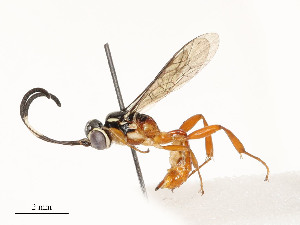  ( - CBG-A58701-C05)  @11 [ ] CreativeCommons - Attribution Share - Alike (2025) CBG Photography Group Centre for Biodiversity Genomics