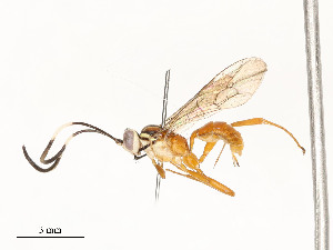  ( - CBG-A58701-C08)  @11 [ ] CreativeCommons - Attribution Share - Alike (2025) CBG Photography Group Centre for Biodiversity Genomics