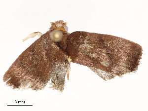  ( - CBG-A59493-F02)  @11 [ ] CreativeCommons - Attribution Share - Alike (2025) CBG Photography Group Centre for Biodiversity Genomics