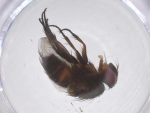  ( - CBG-A59583-E12)  @11 [ ] CreativeCommons - Attribution Share - Alike (2024) Centre for Biodiversity Genomics Centre for Biodiversity Genomics