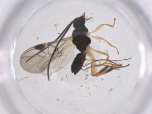  ( - CBG-A59879-B05)  @11 [ ] CreativeCommons - Attribution Share - Alike (2024) Centre for Biodiversity Genomics Centre for Biodiversity Genomics