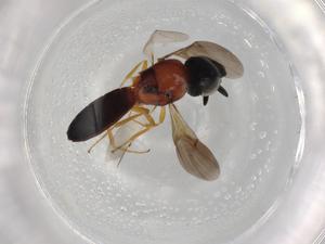  ( - BIOUG89666-H08)  @11 [ ] CreativeCommons - Attribution (2022) Centre for Biodiversity Genomics Centre for Biodiversity Genomics