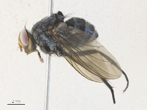  ( - CBG-A38514-E04)  @11 [ ] CreativeCommons - Attribution Share - Alike (2024) CBG Photography Group Centre for Biodiversity Genomics