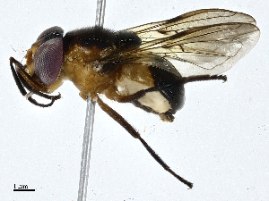  ( - CBG-A00289-B09)  @11 [ ] CreativeCommons - Attribution (2023) CBG Photography Group Centre for Biodiversity Genomics