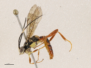  ( - CBG-A04472-E05)  @11 [ ] CreativeCommons - Attribution (2023) CBG Photography Group Centre for Biodiversity Genomics