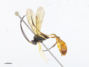  ( - CBG-A10799-H02)  @11 [ ] CreativeCommons - Attribution Share - Alike (2023) CBG Photography Group Centre for Biodiversity Genomics